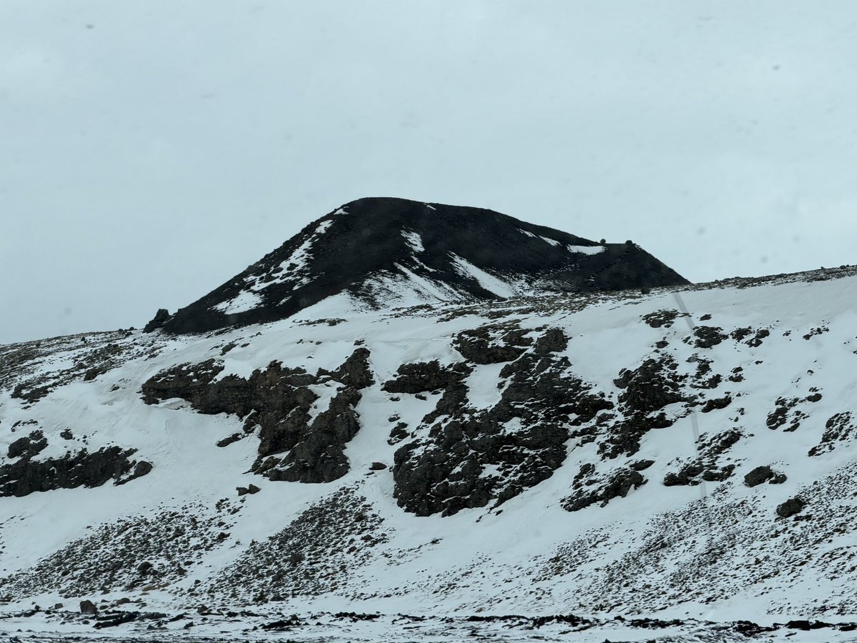 IcelandTaa's tweet photo. And our final stop today, a drive-by Grindavik, the site of the latest volcanic eruptions on Iceland - some of this rock is less than two years old! https://t.co/aG8U5P4Ek2
