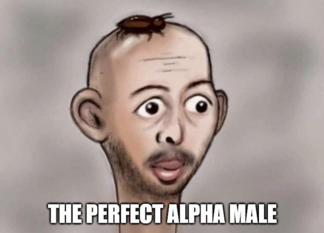 FigureWIM tweet media