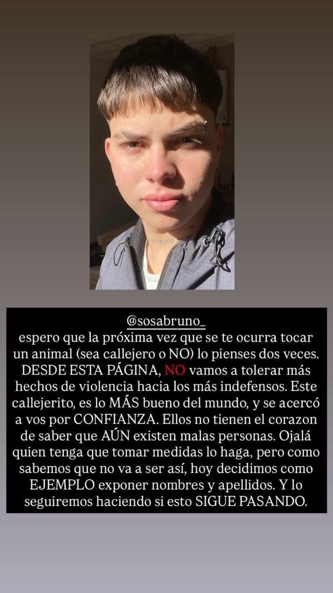 Domadora de Kirchos🇦🇷🦁 tweet media