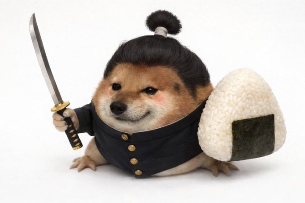 100xFinder 💰 tweet media