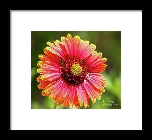 ShadowDogDesign's tweet image. Check out the new Countdown to Mother's Day #blog by @saracom featuring the movie "Lady Bird" &amp;amp; many #heartfelt #MothersDay #gifts! bluemorningexpressions.com/blogs/buy-hand… #bmecountdown #ShopSmall