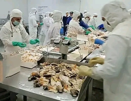 Manuel Aguiar Lamas tweet media