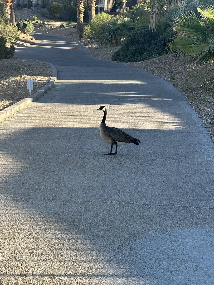 stacy keller tweet media