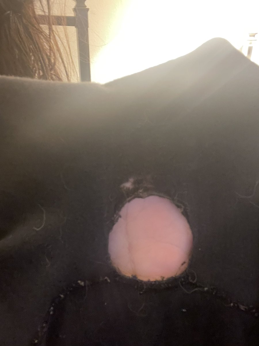 MagnusOnlyLamps's tweet photo. MY FUCKIN BOXERS RIPPED IN STREAM FUUUUUUCK https://t.co/FszYyrFfOU