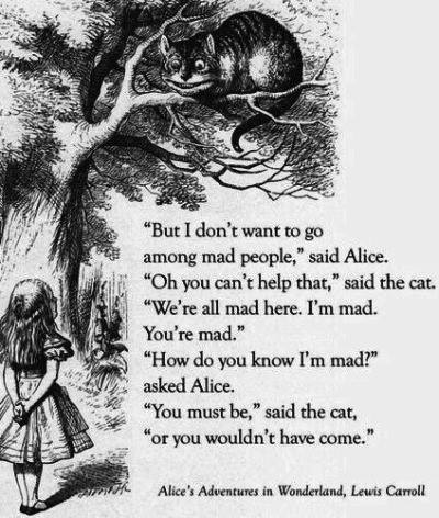 Bob Lennon tweet media