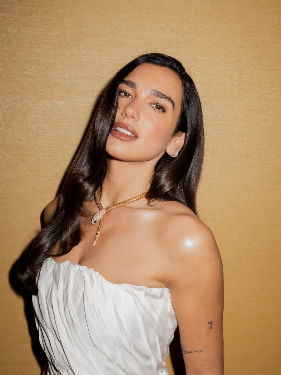 Dua Lipa Hungary (Fan) tweet media