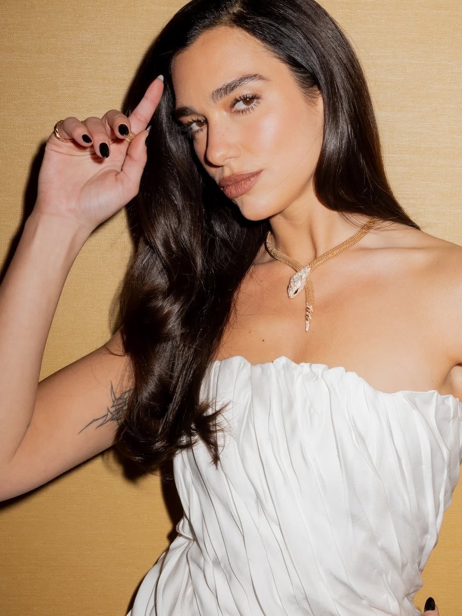 Dua Lipa Hungary (Fan) tweet media