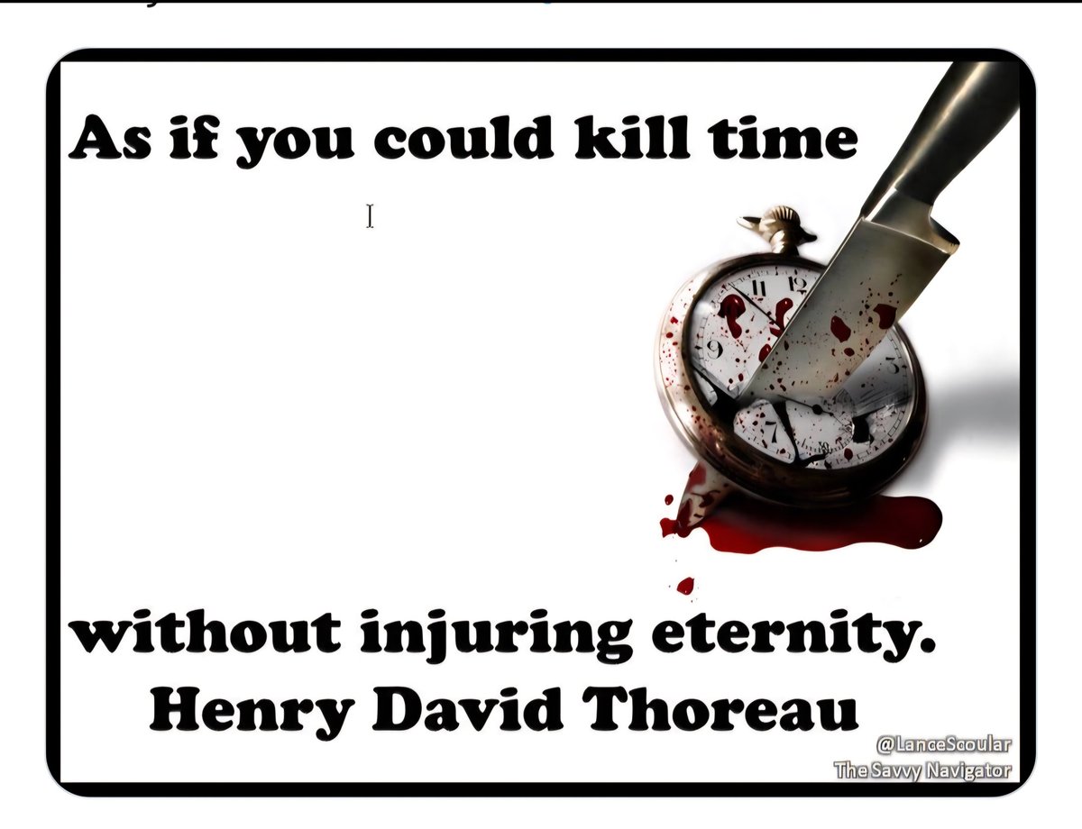 Lance Scoular🧭🌐The Savvy Navigator tweet media