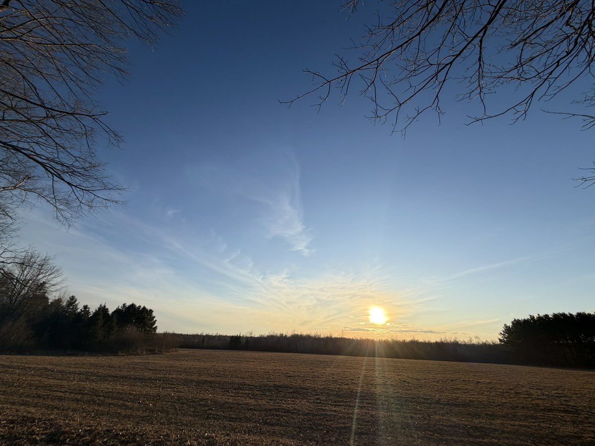 SinBears Deep Dark tweet media