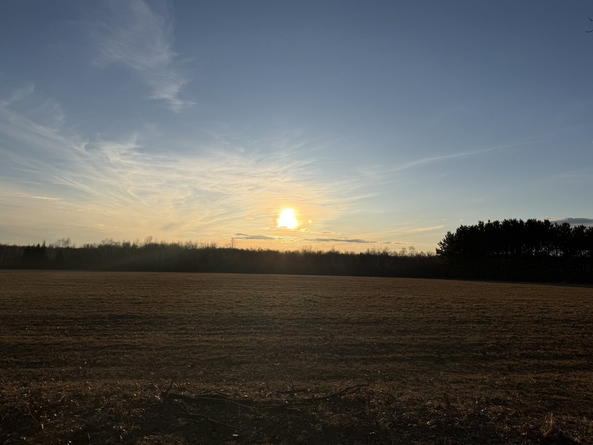 SinBears Deep Dark tweet media