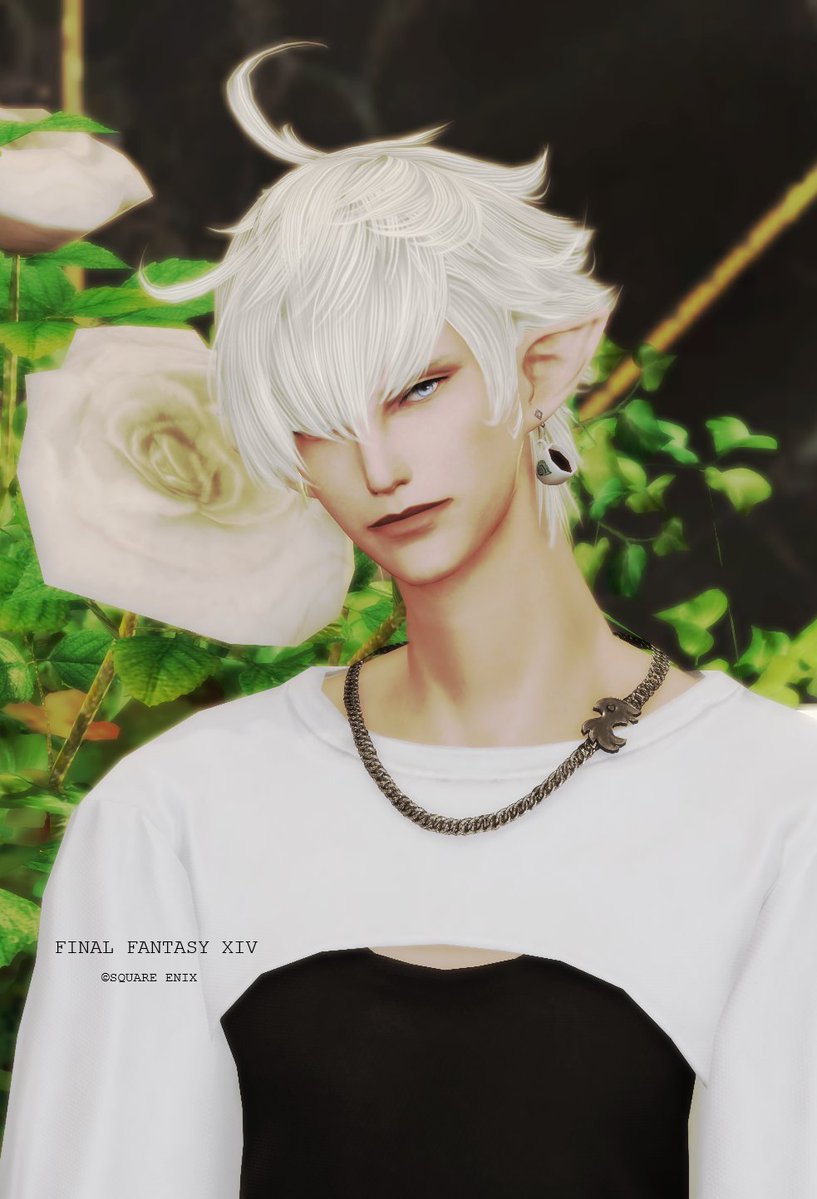 silva@zeromus tweet media