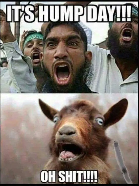 Xhad Steele tweet media