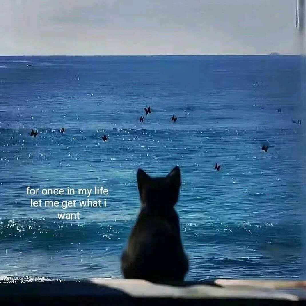 a broken soul tweet media