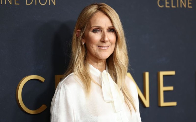 The Standard Digital tweet media