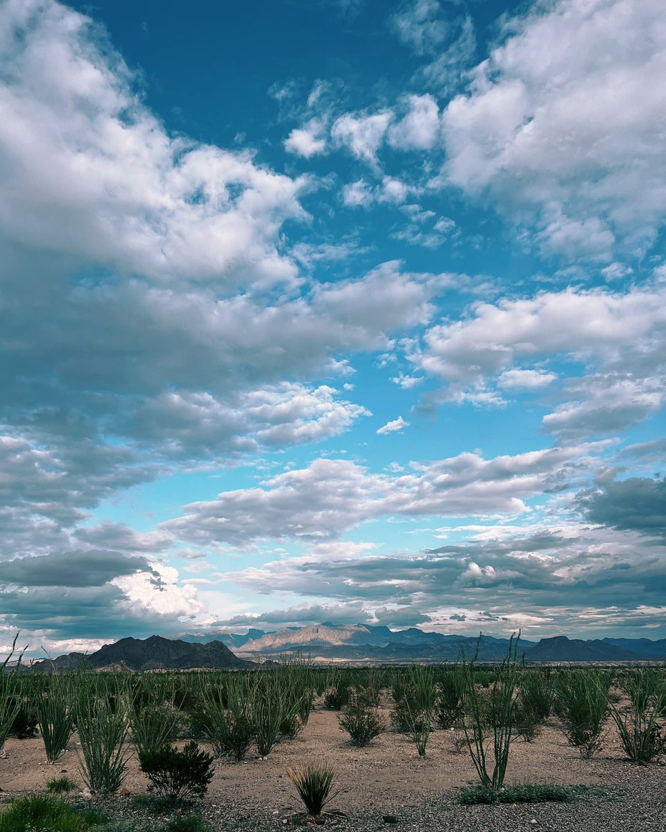 J.B. Sauceda tweet media