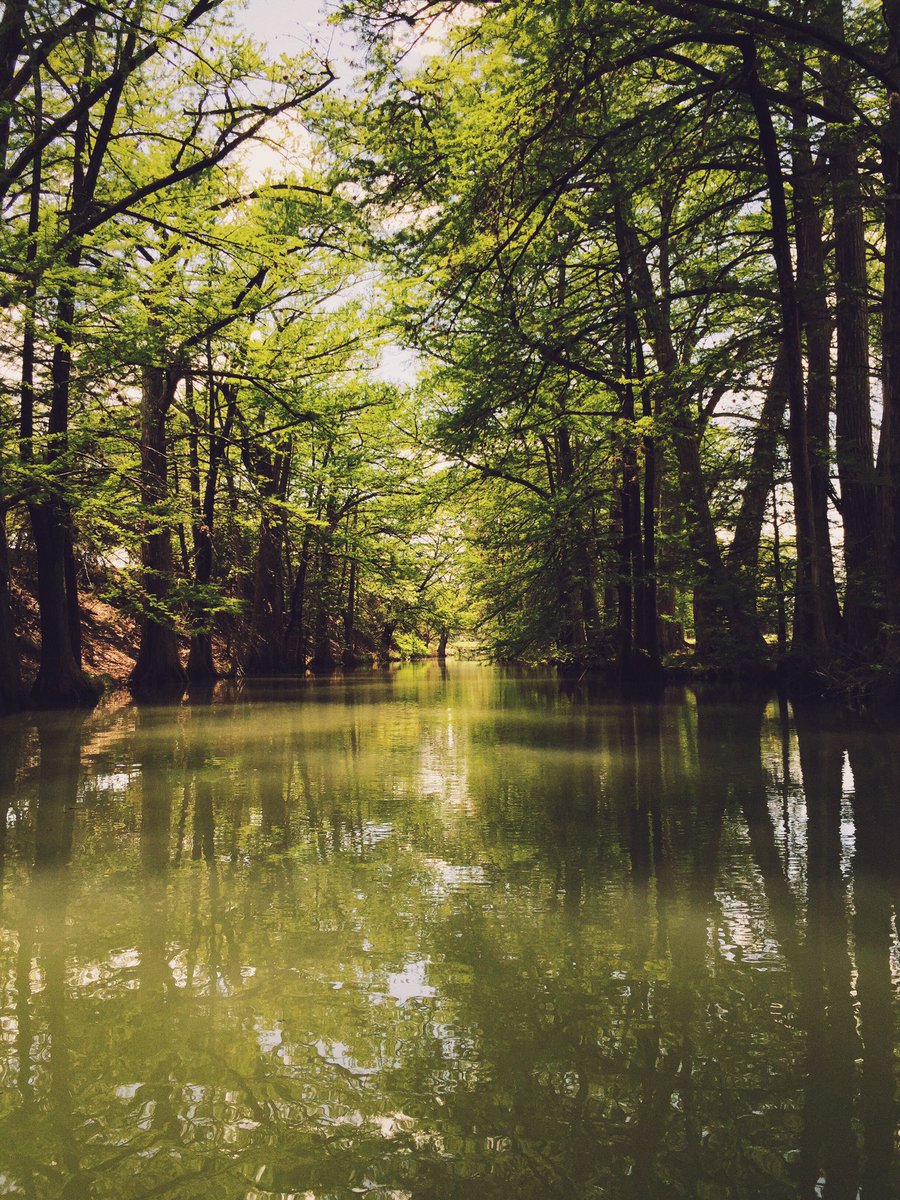 J.B. Sauceda tweet media