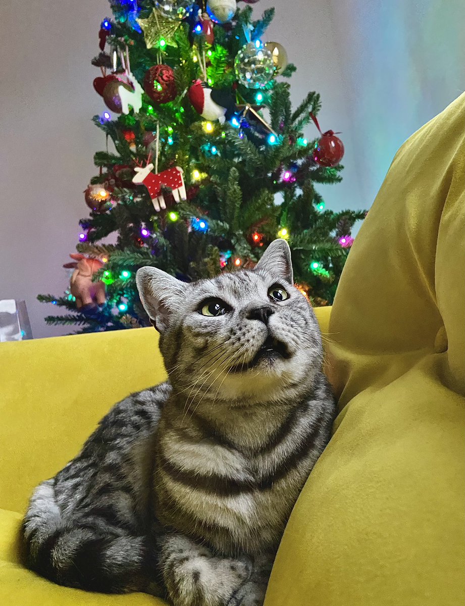 Joe Frady 🎗️ tweet media