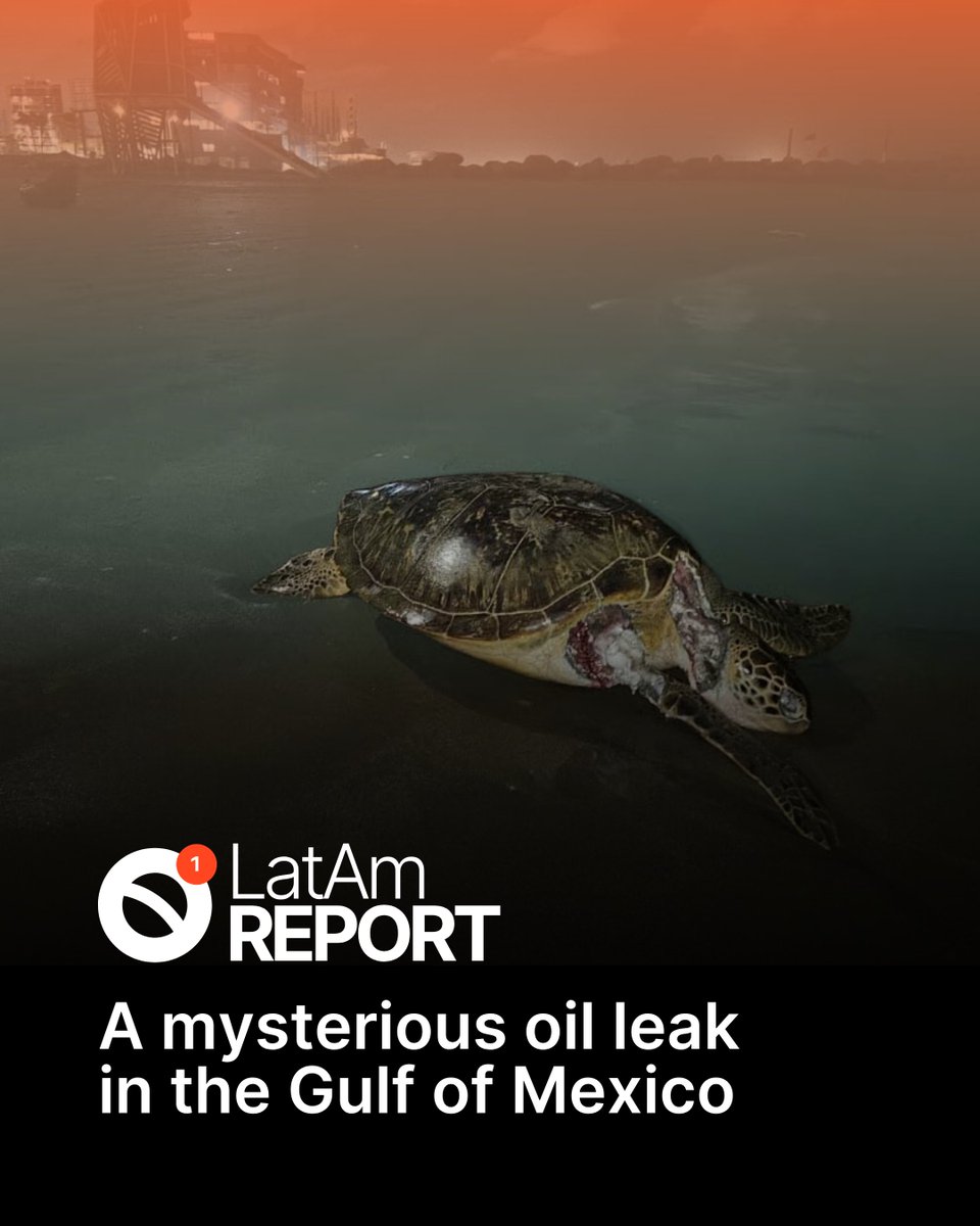 The Brazilian Report tweet media