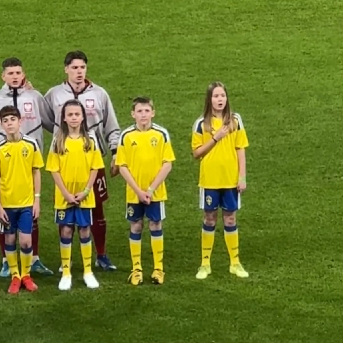 Transfery.info tweet media