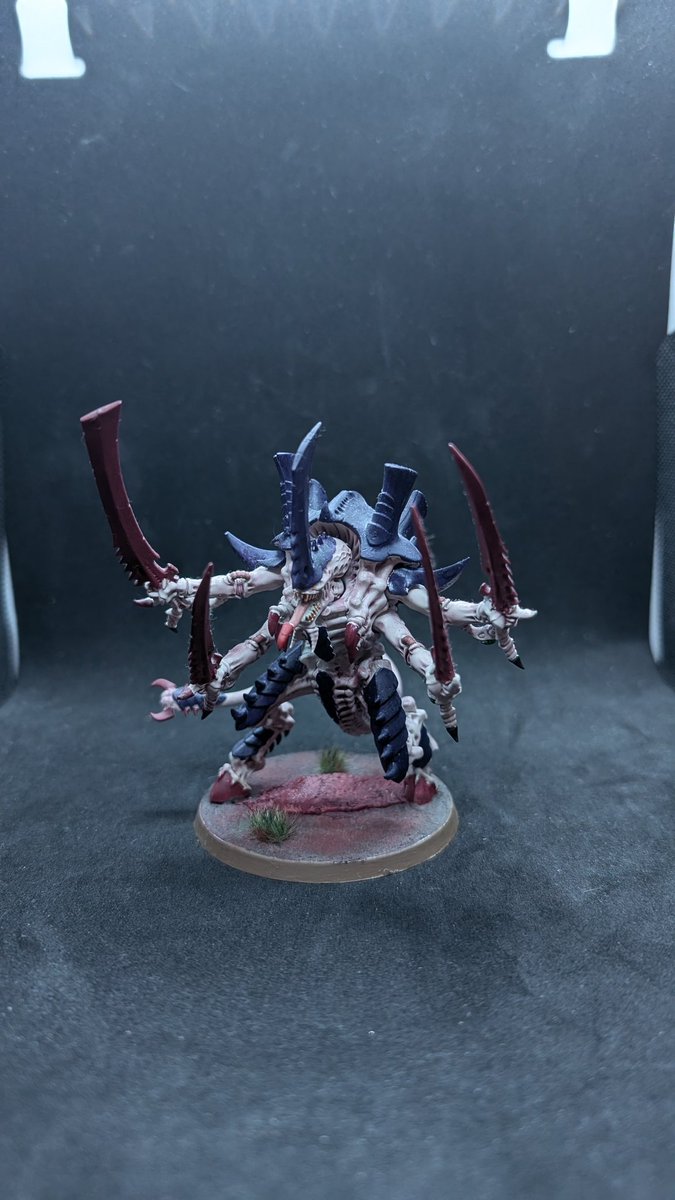 Sobek 🐊 tweet media