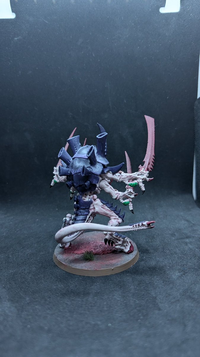 Sobek 🐊 tweet media