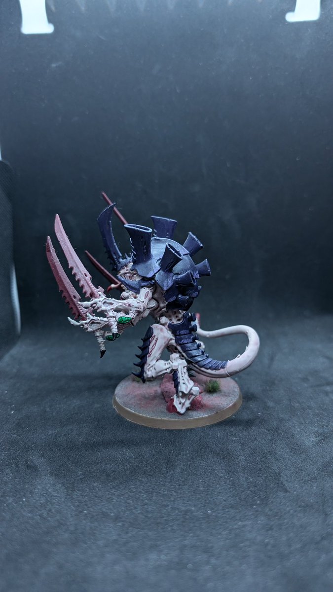 Sobek 🐊 tweet media