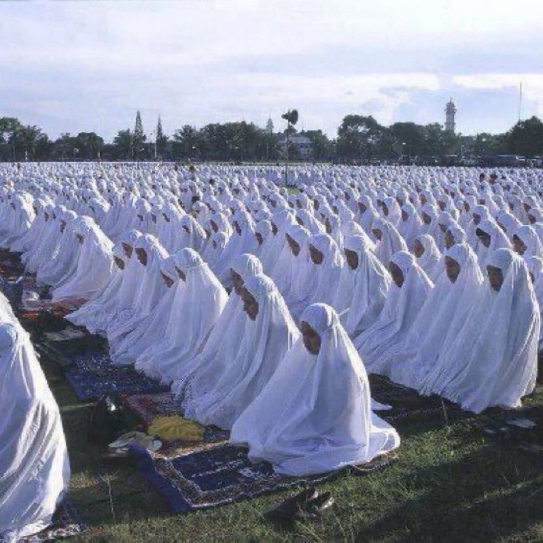 Halal Nation ☪︎ tweet media