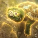 Gem Chaser SOL tweet media