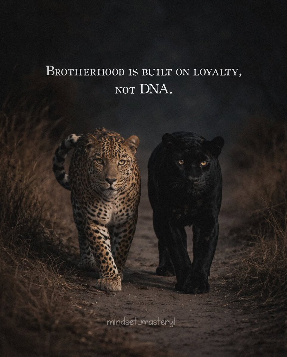 Mind Essentials tweet media