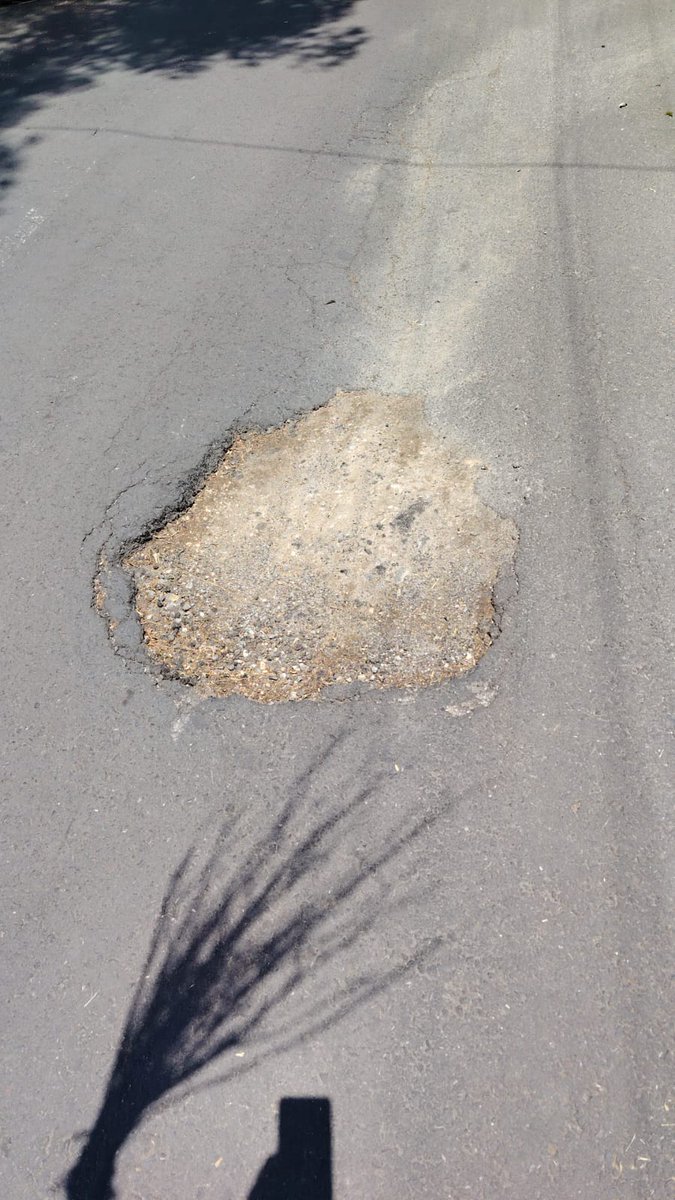 LAS AGUILAS ®️ tweet media