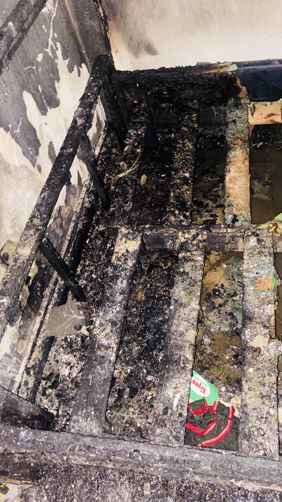 Queen Ella☢️✂️❤️ tweet media