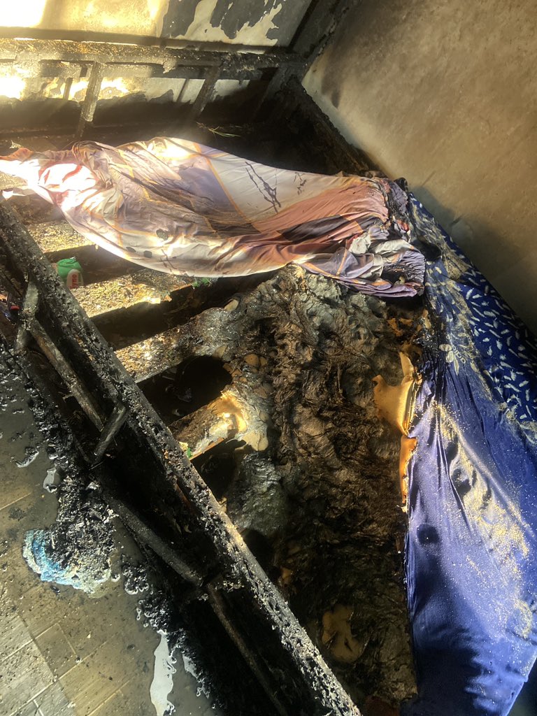 Queen Ella☢️✂️❤️ tweet media