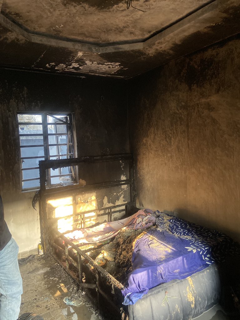 Queen Ella☢️✂️❤️ tweet media