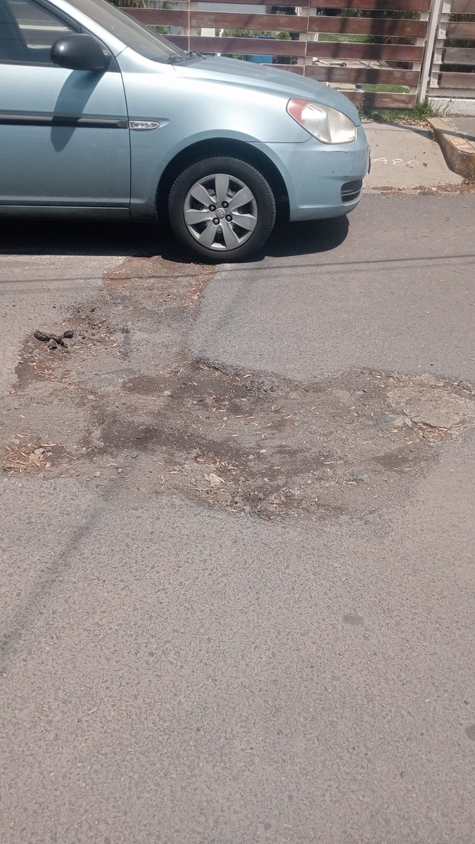 LAS AGUILAS ®️ tweet media