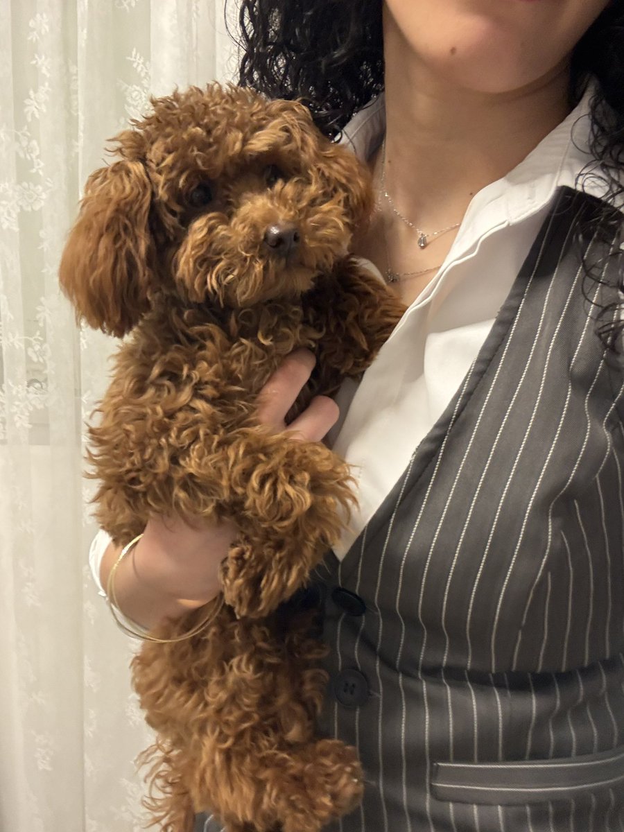 𓂃⋆.˚ blaze ⁷ ♠️ tweet media