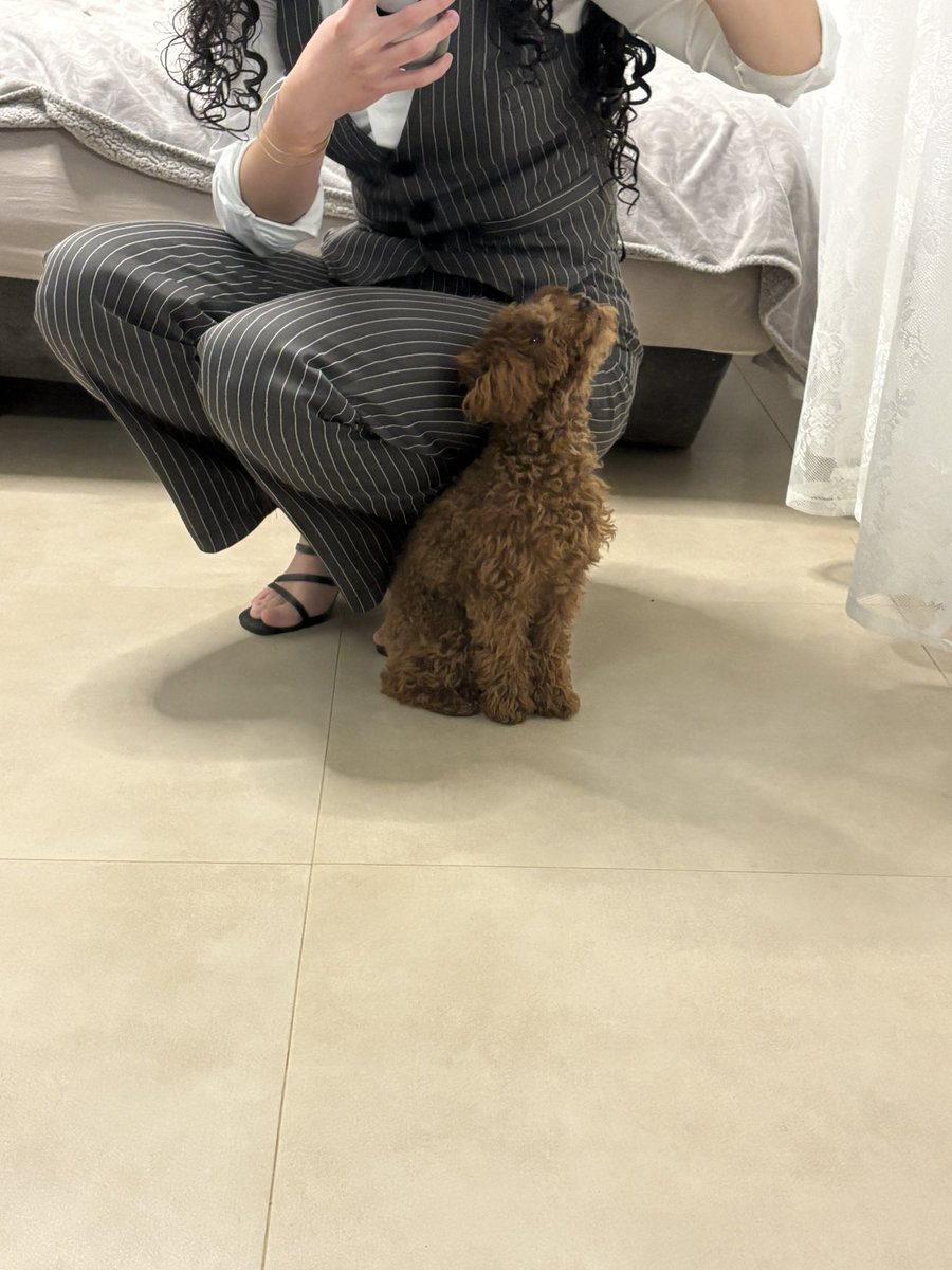 𓂃⋆.˚ blaze ⁷ ♠️ tweet media