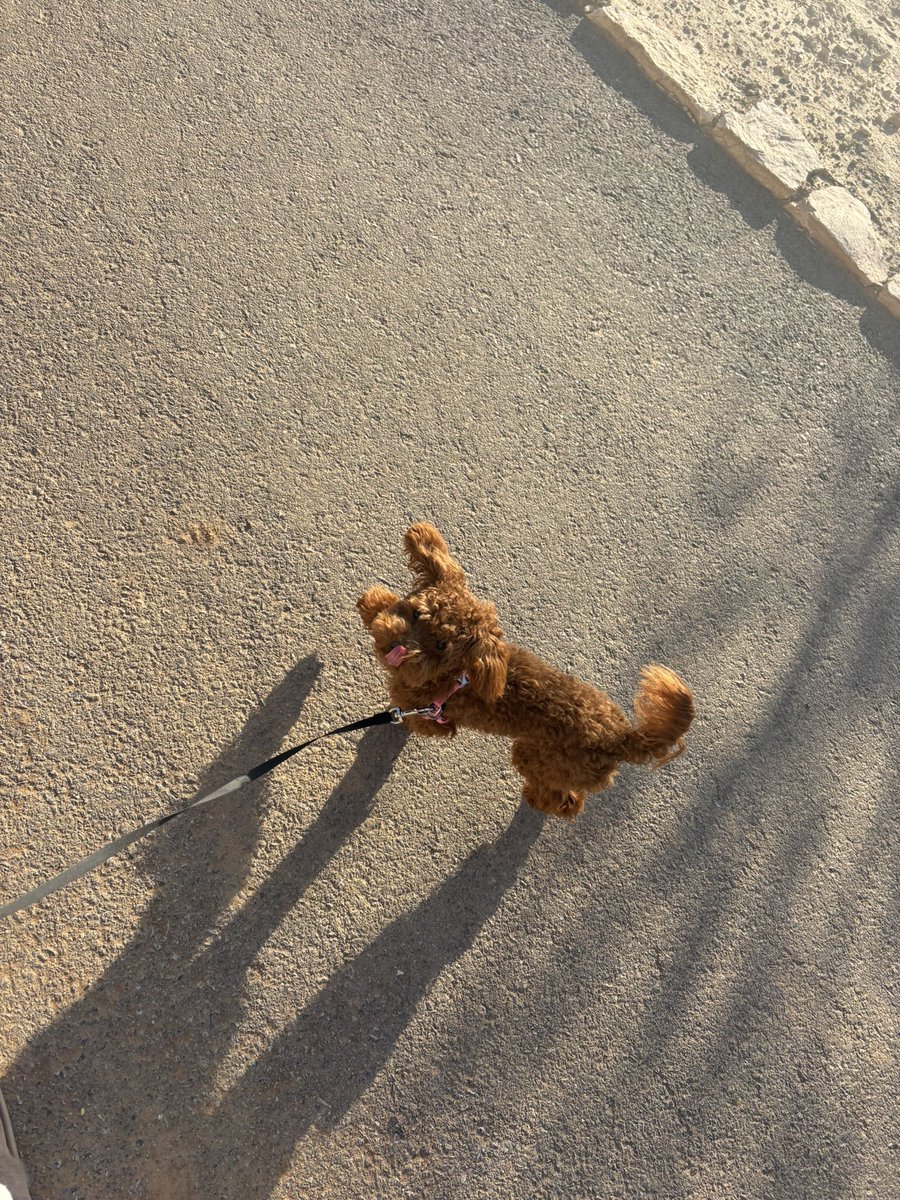 𓂃⋆.˚ blaze ⁷ ♠️ tweet media