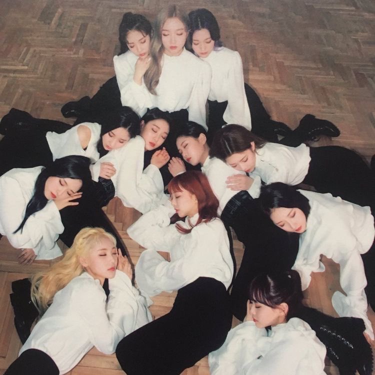 bini ♡ is seeing bts tweet media