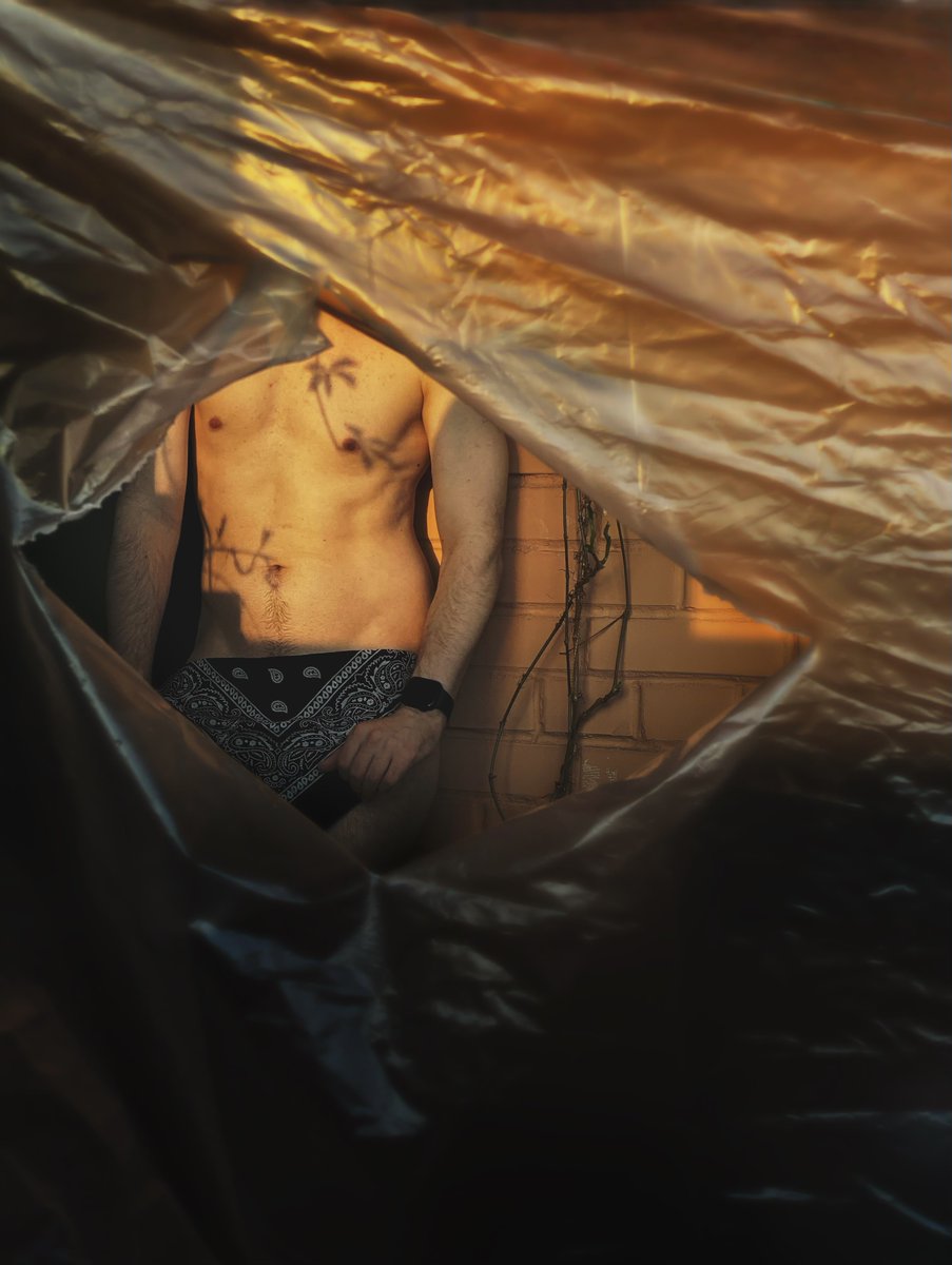 прокрастинация и отвага tweet media