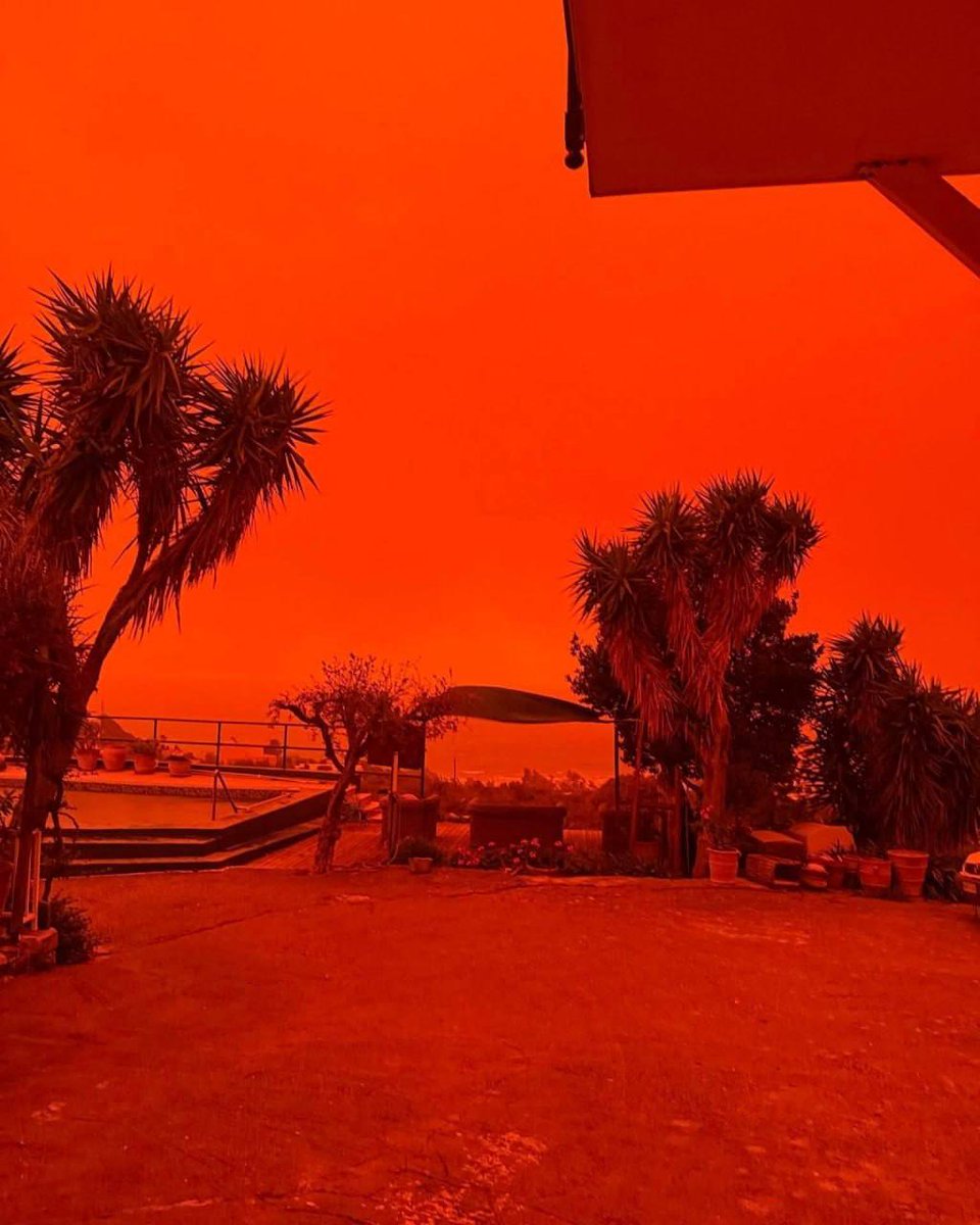 Лентач tweet media