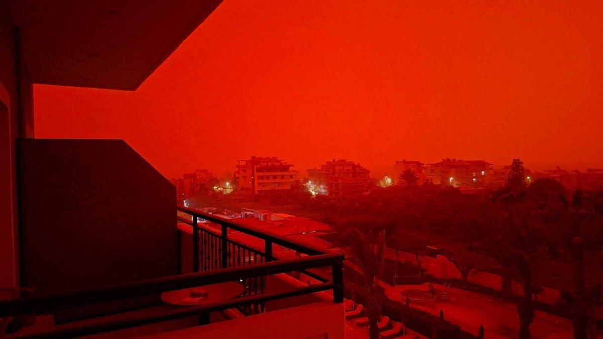 Лентач tweet media