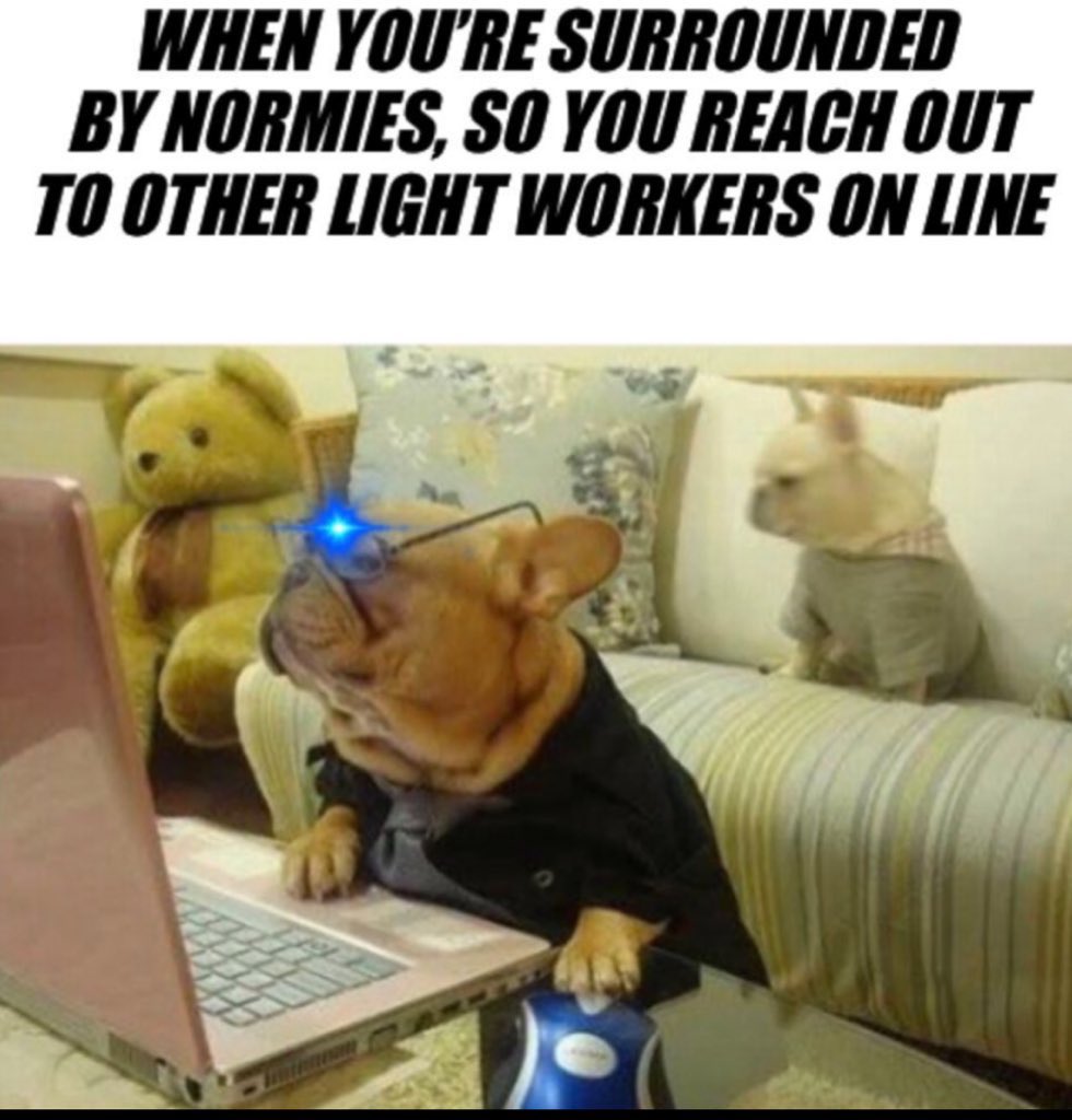 Lil Miss tweet media