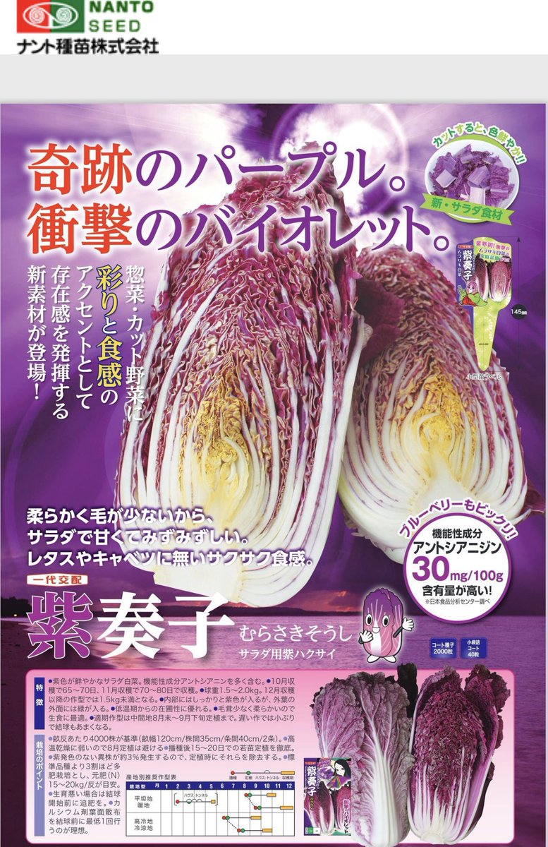 POP＠脱サラ農家 tweet media