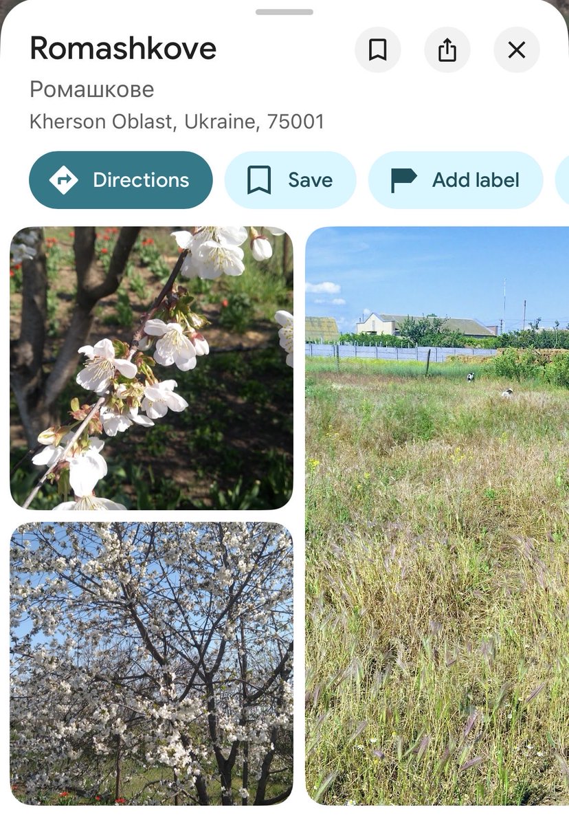 Pepel Klaasa tweet media