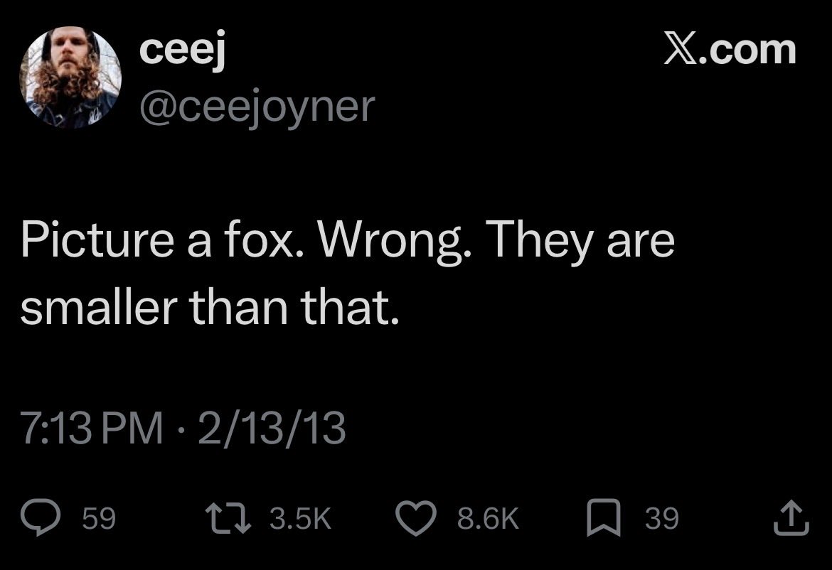 slam dance tarantula tweet media