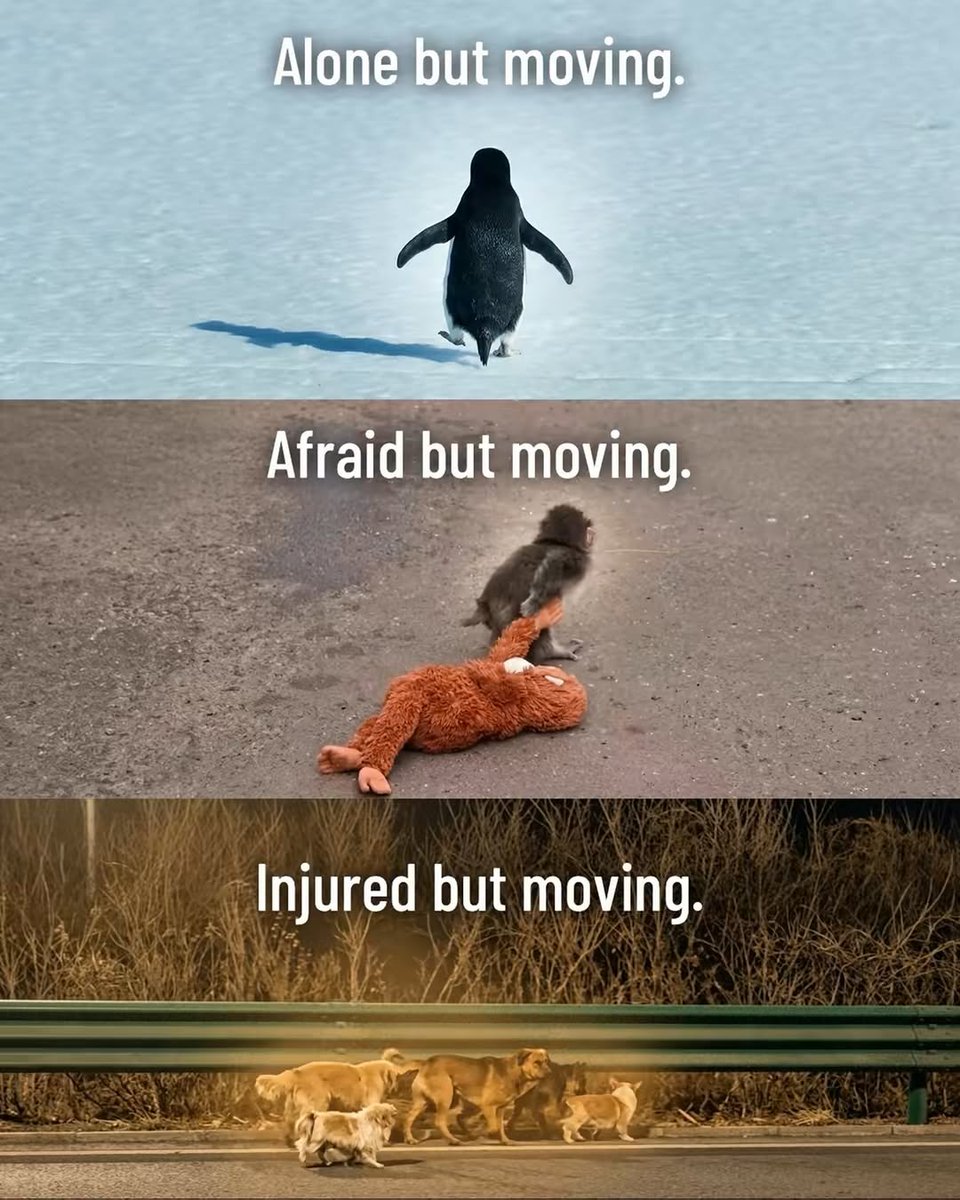 Mind Essentials tweet media