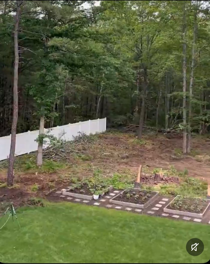 Kyle Loveless tweet media