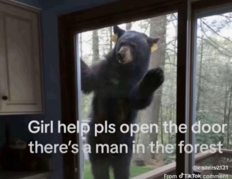 hersikibilengenckiz tweet media