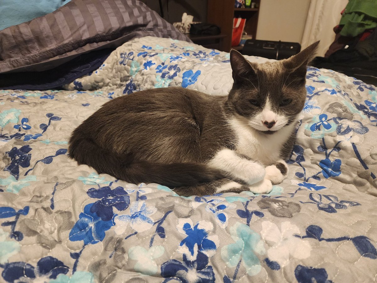 #FreePM_Vigilante ⚜️ tweet media