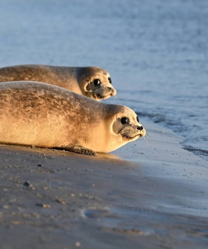 Enki? ☭ tweet media